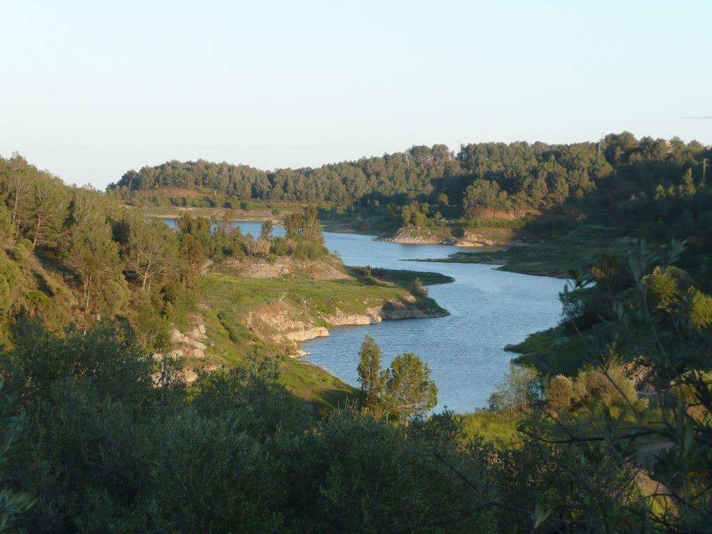 Riudecanyes Casa Vella Del Panta 게스트하우스 외부 사진